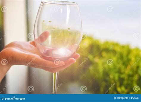 La Mano De La Mujer Que Sostiene La Copa De Vino Fotos De Stock