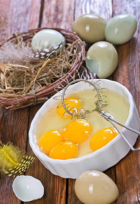 Pheasant`s eggs stock photo. Image of chicken, food - 100496958