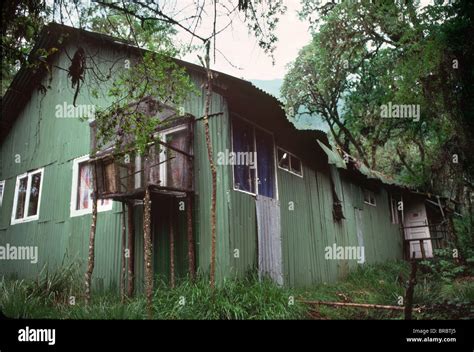 Dian Fossey's Cabin, Karisoke Mountain Gorilla Research Centre, Virunga Volcanoes, Rwanda Stock ...