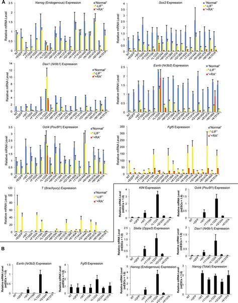 Fig S5 Gene Expression Of Pluripotency Markers In Mescs And Episcs