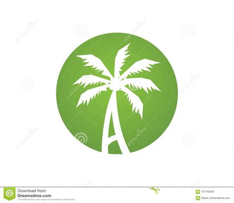 Plantilla Del Logotipo Del Verano De La Palmera Ilustración del Vector