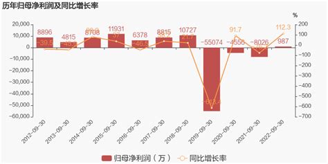 【图解季报】st新海：2022年前三季度归母净利润987万元，同比扭亏为盈 东方财富网