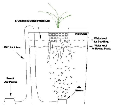 Hydroponic 5 Gallon Bucket System Aquaponics Diy