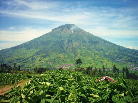 Sumbing Mountain - Mountainesia