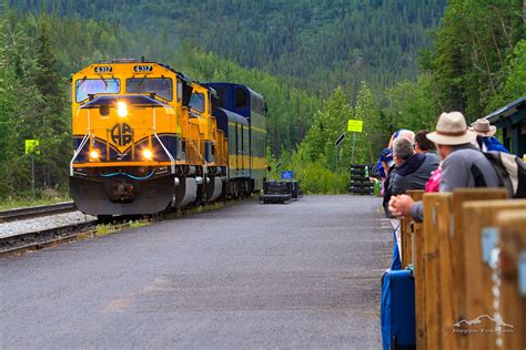 Photos of Things To Do in Denali National Park & Kantishna, Alaska