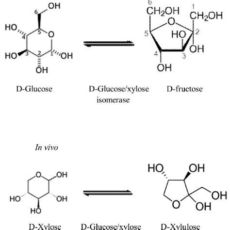 Pdf Glucose Isomerising Enzymes