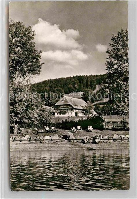 Ak Ansichtskarte Titisee Pension Seehof Kat Titisee Neustadt Nr