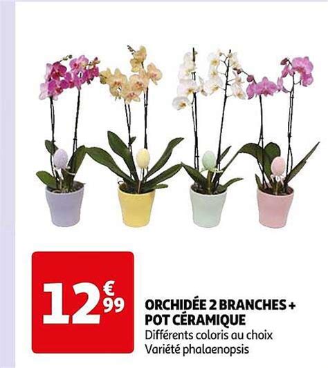 Promo Orchid E Branches Pot C Ramique Chez Auchan Icatalogue Fr