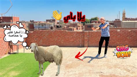 لما ابوك يجبلكم خروف العيد واخوك الصغير يهربوا من البيت🐑😂 محمد عماد