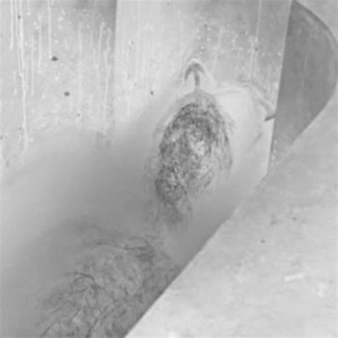 Obsessed By Organs II Organ For Satan Nude For Satan