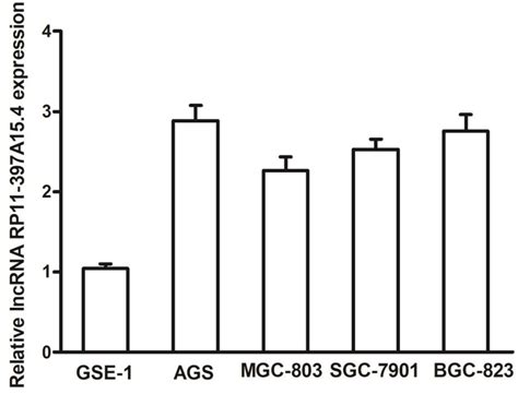 Increased Expression Of Lncrna Rp11 397a154 In Gastric Cancer And Its