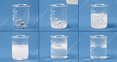 Magnesium Reacting With Acid Stock Image C039 1061 Science Photo