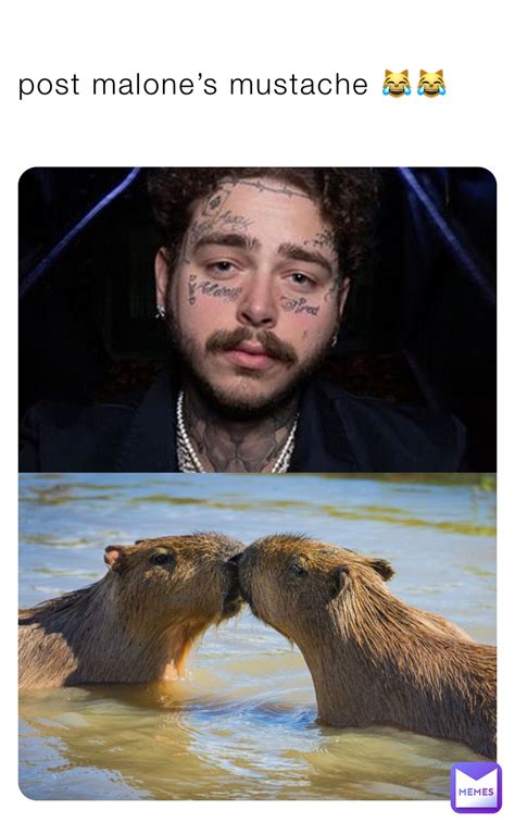 Post Malone’s Mustache 😹😹 Dishes Memes