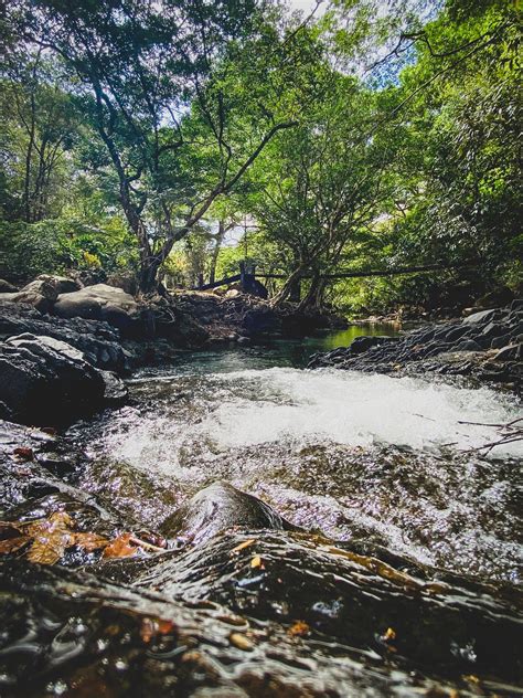 Areas: Mina De Cobre Copper Mine in Panama | by World As One 4PEACE ...