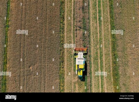 Drone picture of combine harvester in the field Stock Photo - Alamy