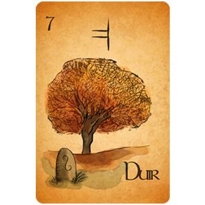 Ogham O Oráculo dos Druidas Livro Cartas Simbólika B2B