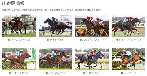 『第85回 優駿牝馬 東京競馬場 追記』 №8868 空父の気まぐれ日記～雲の如く