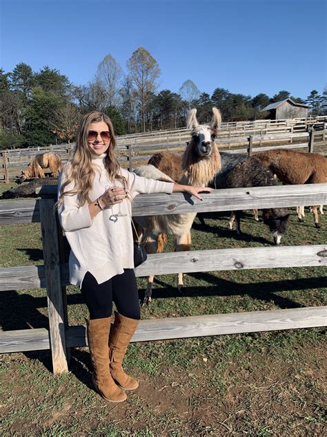 craigslist com winston salem 7