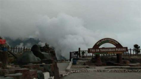 Foto Taman Wisata Gunung Tangkuban Parahu Normal Lagi