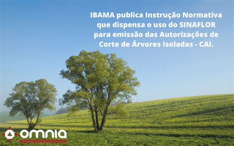 IBAMA publica Instrução Normativa que dispensa o uso do SINAFLOR para