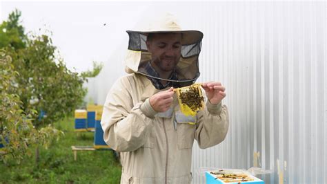 Closeup Portrait Of Beekeeper Holding A Honeycomb Full Of Bees