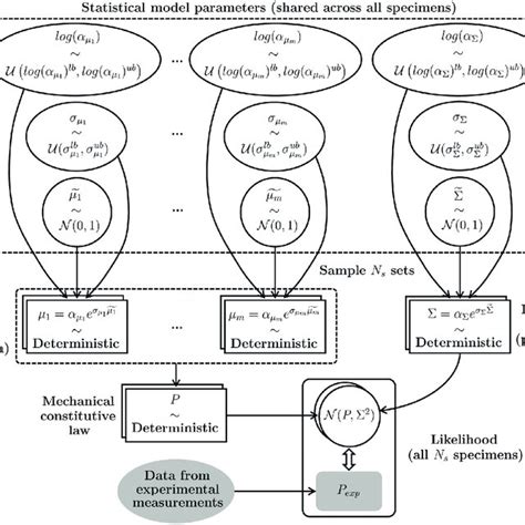 Schematic Of The Hierarchical Bayesian Model Posed To Capture The