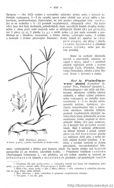 Názorná květena zemí koruny české svazek 4 strana 458