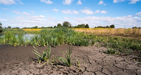 Approaches to Sustainable Agriculture in the Face of Climate Change - hivve