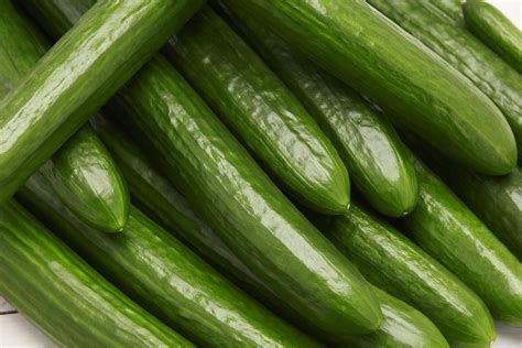 35 Best Cucumber Varieties You Can Grow At Home - Gardenoid