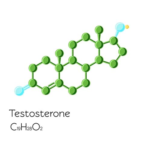 Testosterone Structural Formula — Stock Vector © Leonid Andronov 12099515