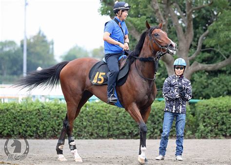 アップトゥミー Pog競走馬詳細 馬トクpog Umatoku 馬トク