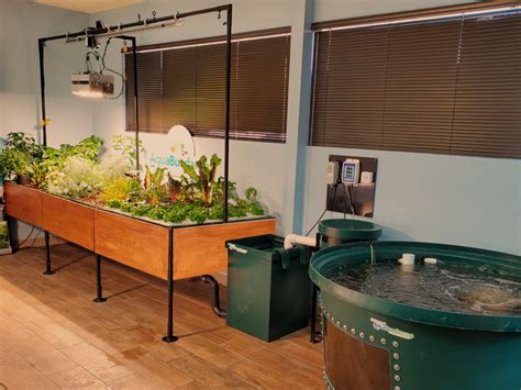 Aquabundance Home Aquaponic Gardens The Aquaponic Source