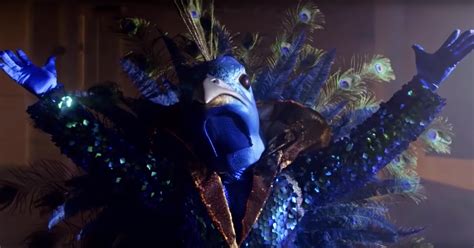 Who Is The Peacock On The Masked Singer Clues And Voice Point To These Suspects