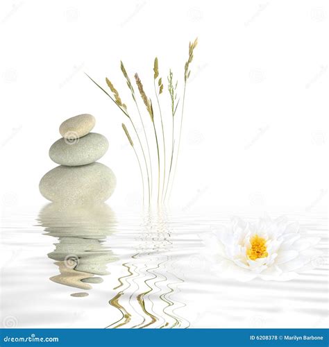 Zen Tranquility Stock Photo Image Of Grasses Balance 6208378