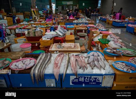 Jagalchi Fish Market The Largest Seafood Market In Busan South Korea On