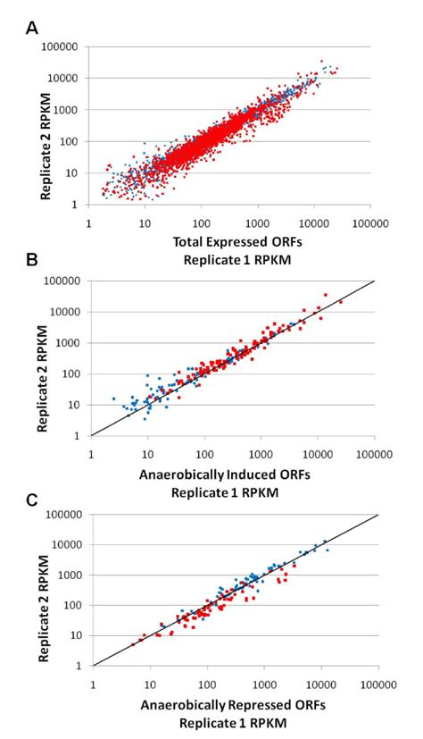 Reproducibility Of Expression Level Between Replicates A The Rpkm Of