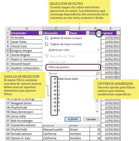 Uso De Filtros En Excel Ejemplo Practico Del Manejo De Filtros