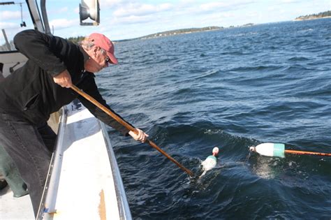 Pulling Traps Lobster Boat Maine Lobster Lobster Trap