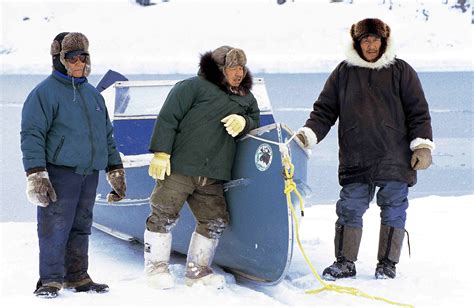 Inuit Country Food in Canada | The Canadian Encyclopedia