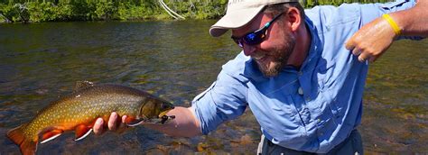 Brook Trout Fishing Northern Ontario Canada