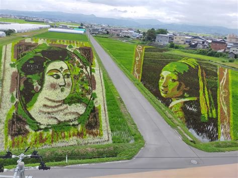 田舎館村『田んぼアート』 おばあさん見習いの日々（ダジャレ付き）