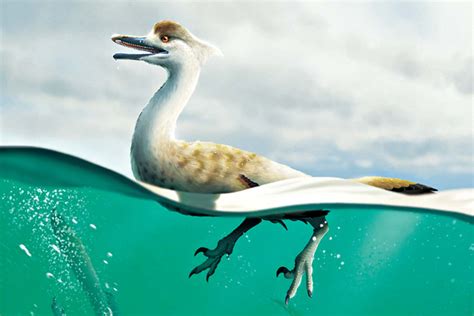 New Dinosaur Species Discovered - RobinAge