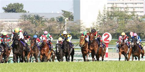 【桜花賞】アスコリピチェーノ4連勝へ／今週の注目レース 競馬ライブ速報 日刊スポーツ