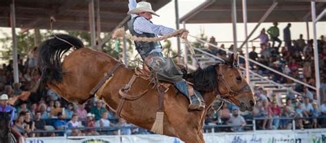 2024 Rodeo Results Texas Cowboy Reunion