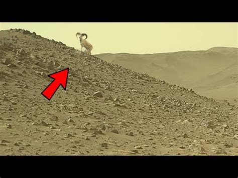 Nasa Mars Perseverance Rover Send New K Video Of Mars Sol