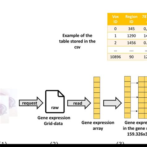 Elaboration Of Gene Expression Data Main Phases 1 Retrieve A Download Scientific Diagram