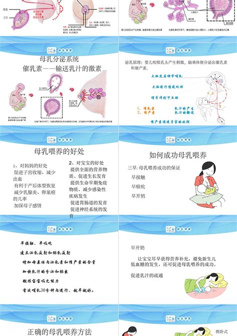 快乐孕育孕妇学校产前知识教程母乳喂养课件ppt模板卡卡办公