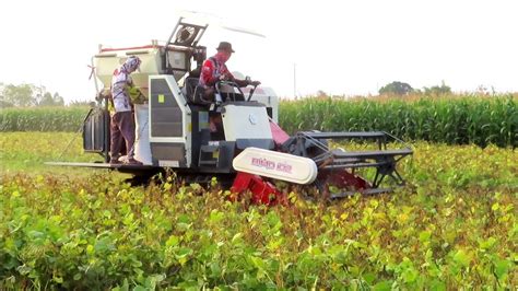 Panen Cepat Kacang Hijau Menggunakan Kombi Sawah Maxxi Bimo L Youtube