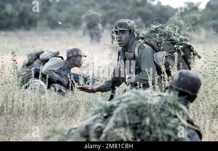 Members Of Company B 1ST Battalion 187th Infantry 193rd Brigade Task