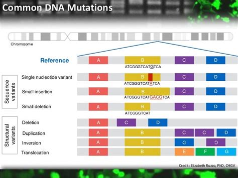 High Throughput Sequencing Technologies On The Path To The 0 Genome